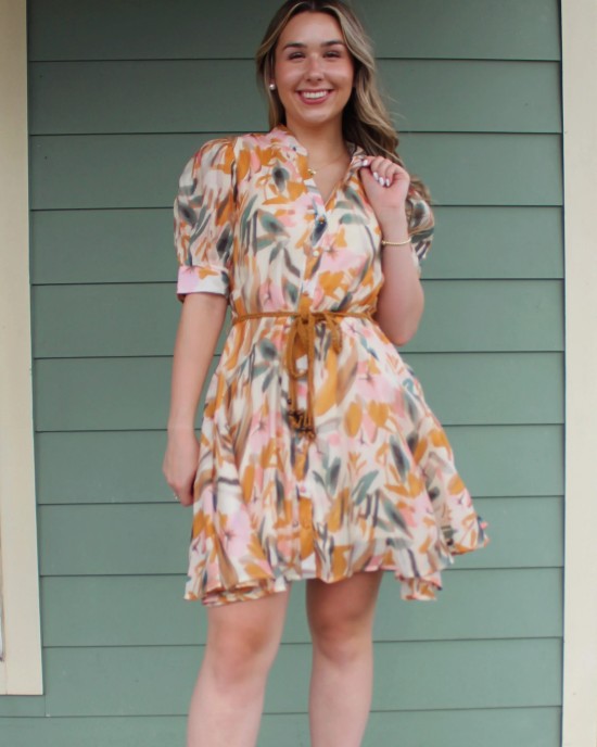 Multicolored Belted Dress